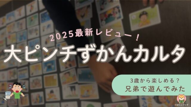 大ピンチ図鑑カルタを3歳・7歳・9歳の兄弟で遊んだ様子と、2025年最新レビューのアイキャッチ画像。