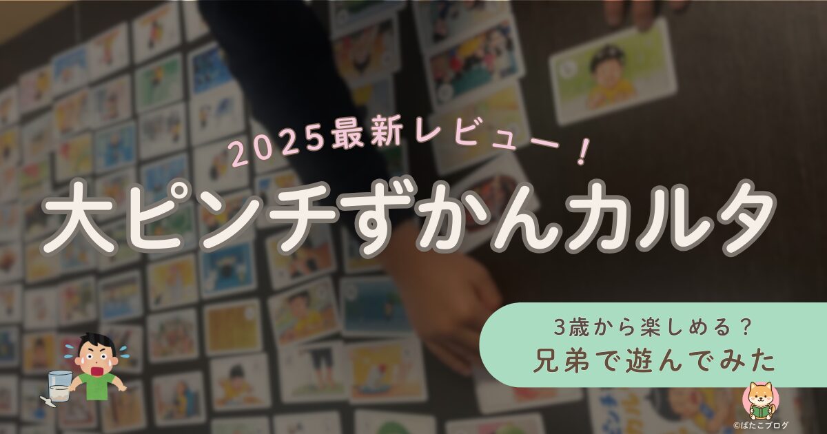 大ピンチ図鑑カルタを3歳・7歳・9歳の兄弟で遊んだ様子と、2025年最新レビューのアイキャッチ画像。