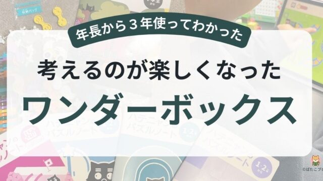 年長から3年間ワンダーボックスを続けて考えるのが好きになった我が家の体験レビュー（ばたこブログ）