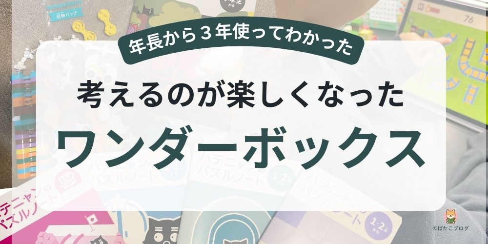 年長から3年間ワンダーボックスを続けて考えるのが好きになった我が家の体験レビュー（ばたこブログ）